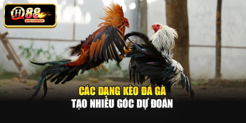 Các dạng kèo đá gà tạo nhiều góc dự đoán