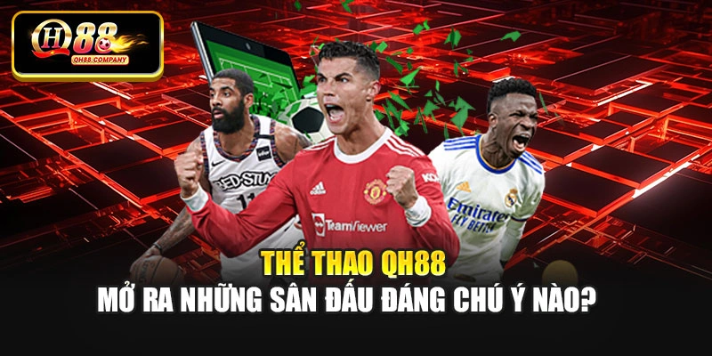 Thể thao Qh88 mở ra những sân đấu đáng chú ý nào